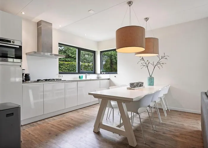 Luxe Op Park Duinzicht Tatil Evi Ouddorp